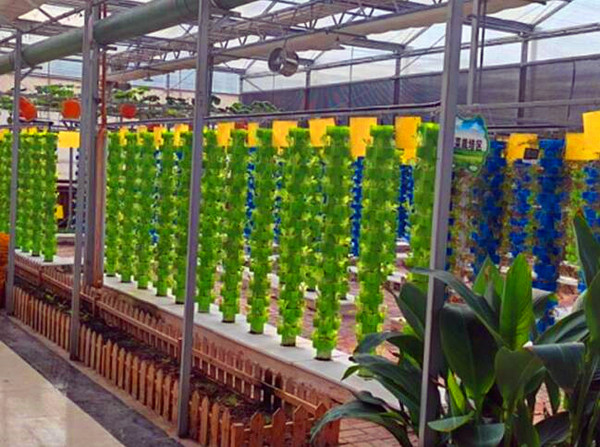 QQ�؈D20240620161228_����