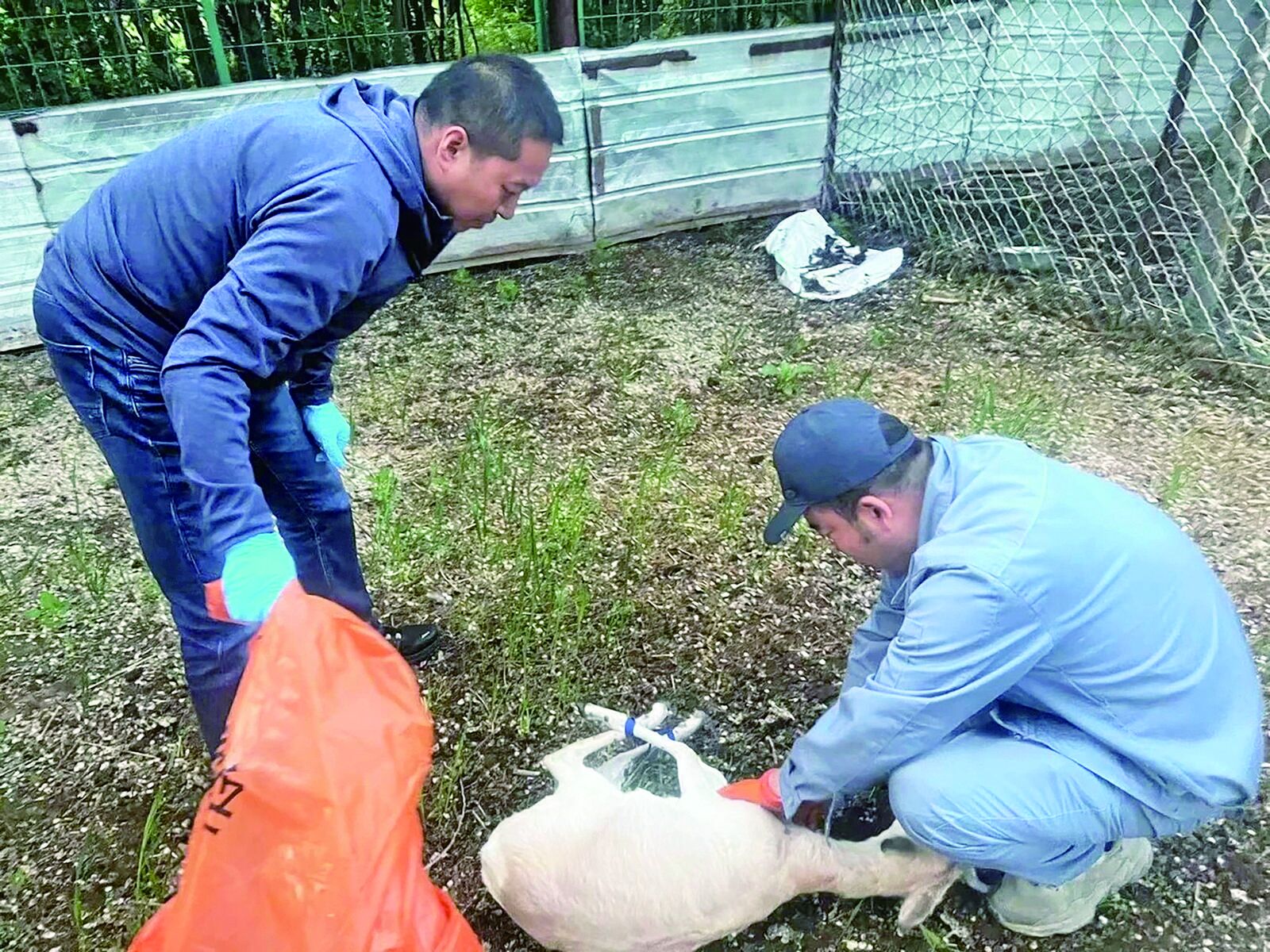 QQ�DƬ20240627055315