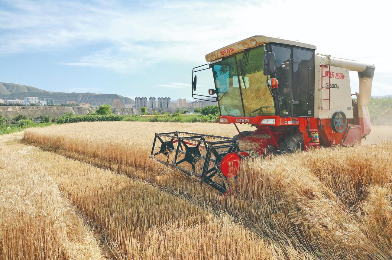 �L�������� С���S��æ