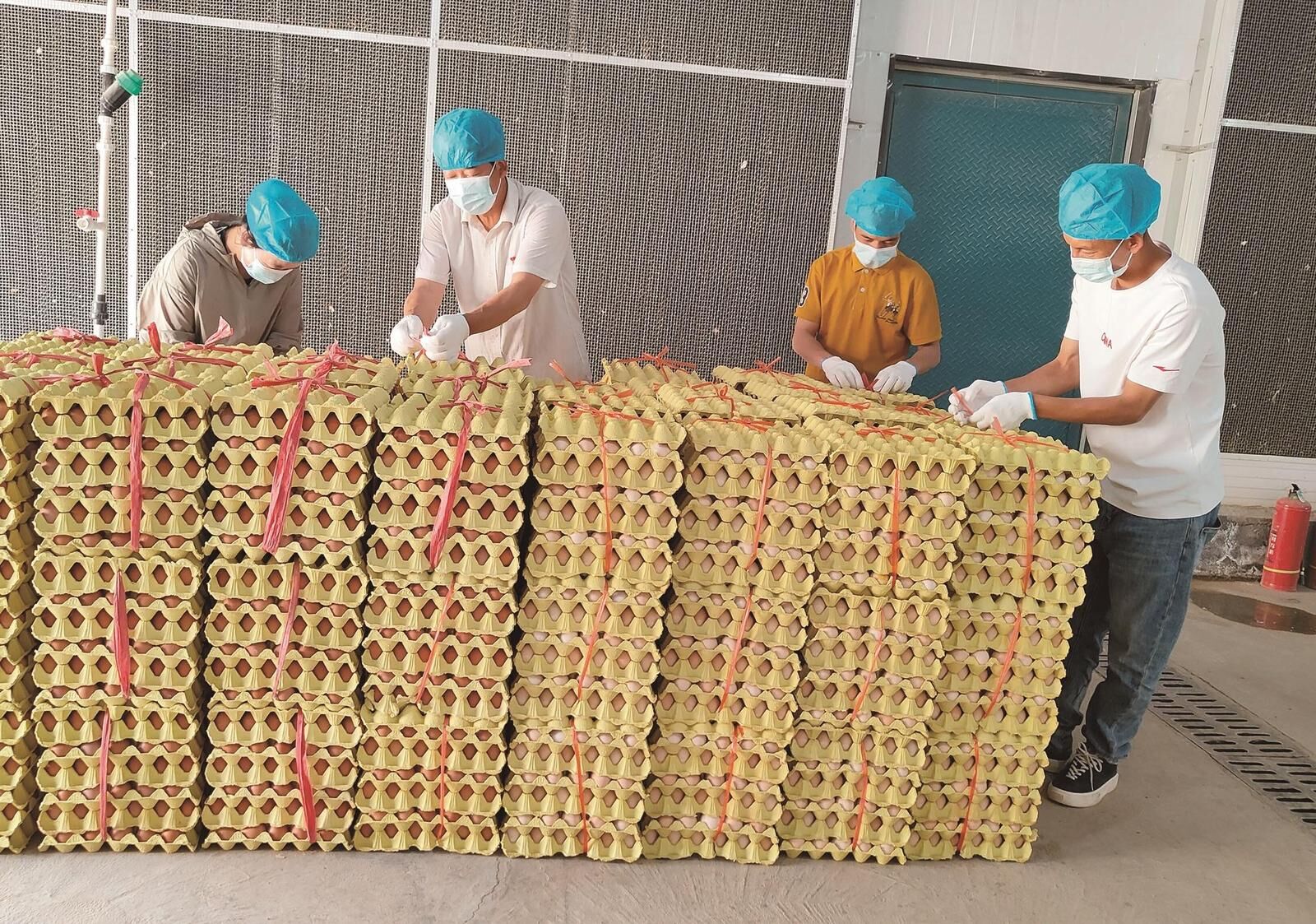 QQ�DƬ20240709061936