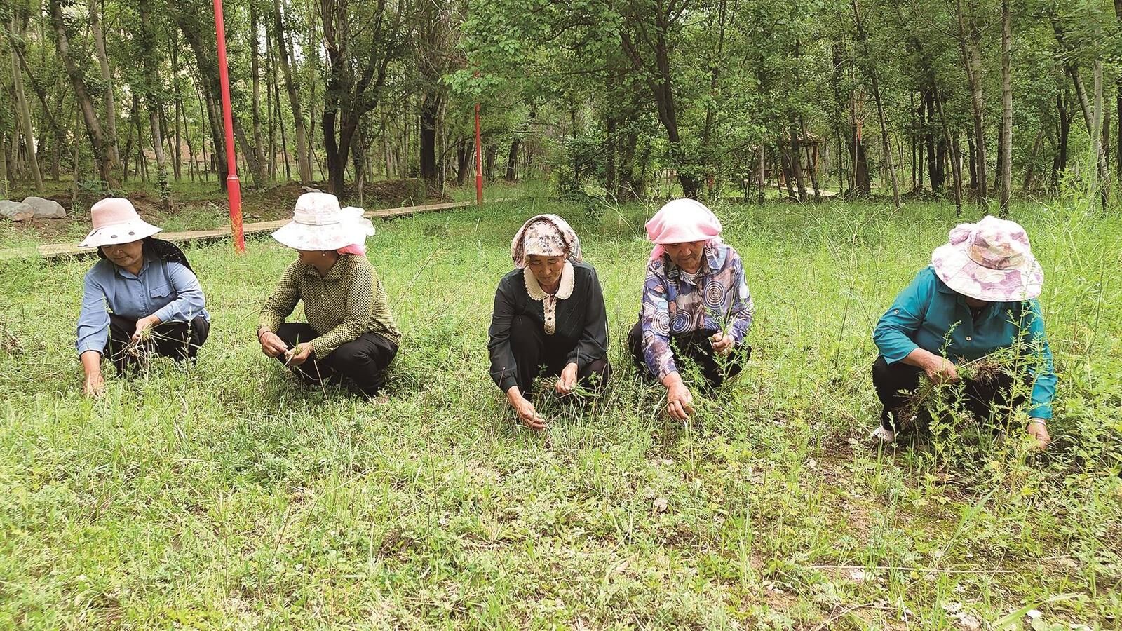 QQ�DƬ20240709061942