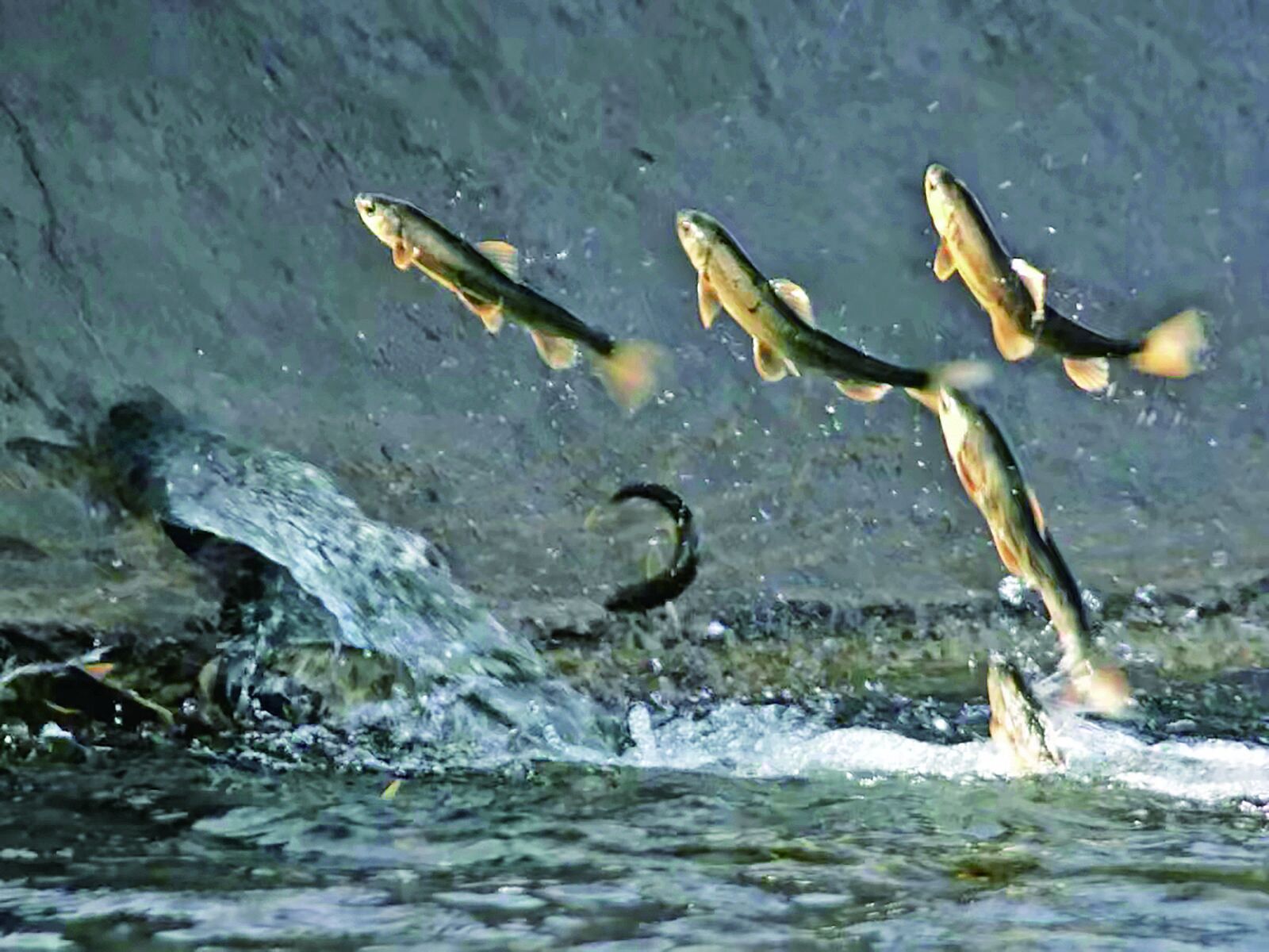 QQ�DƬ20240711061506