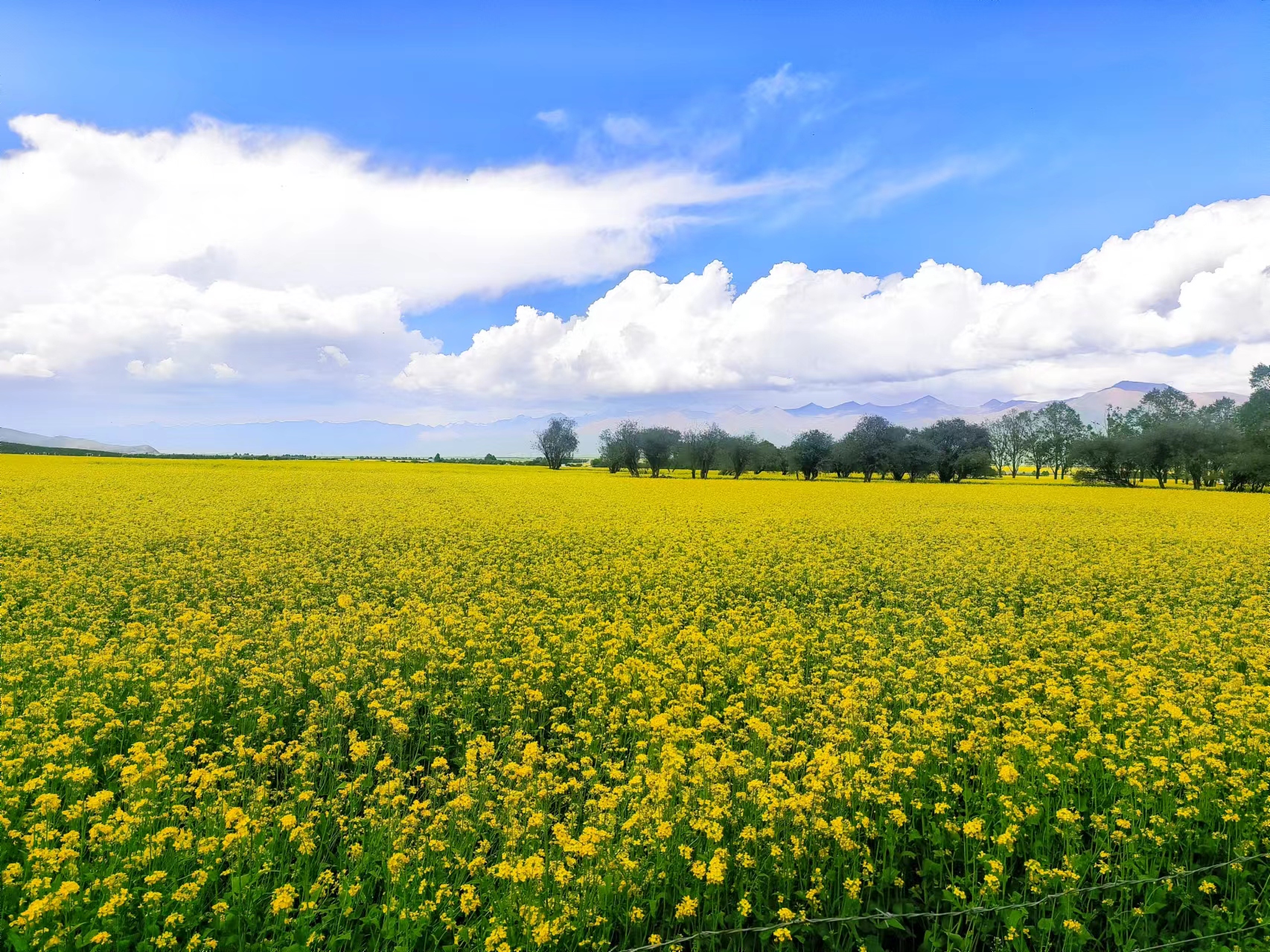 ΢�ňDƬ_20240712162026