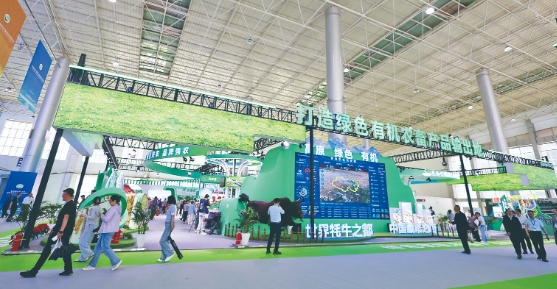 ΢�Ž؈D_20240714072921