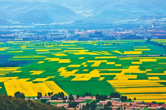 ΢�Ž؈D_20240714074019