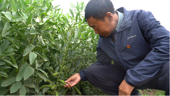 ΢�ňDƬ_20240715152654