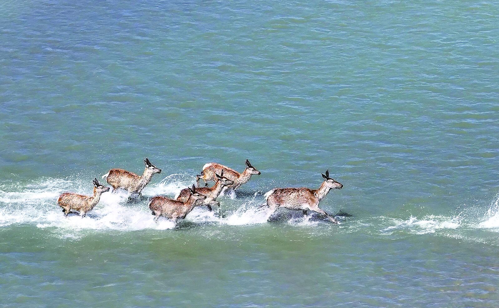 QQ�DƬ20240717053844