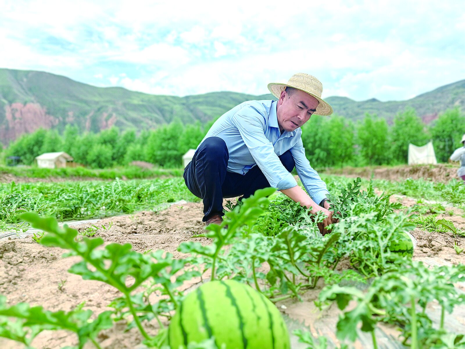 QQ�DƬ20240717061025