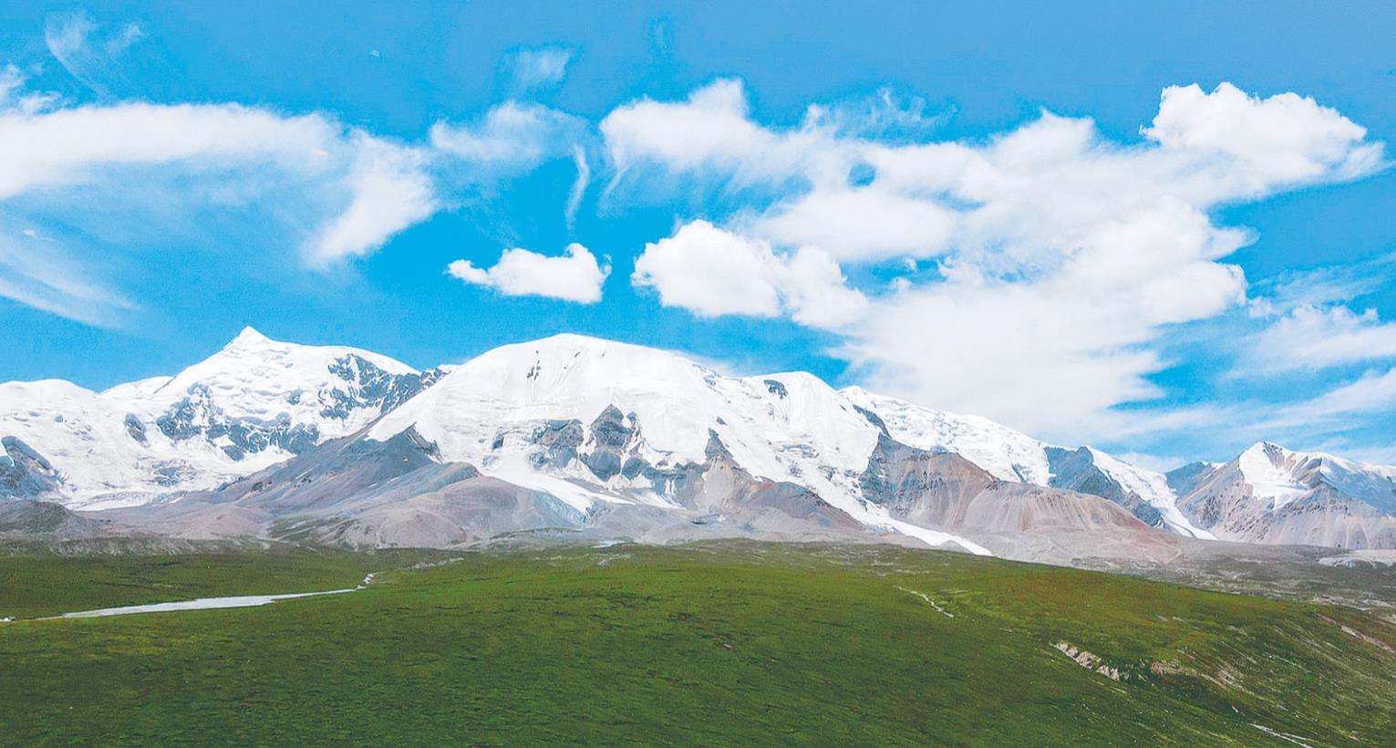 盛夏的阿尼瑪卿