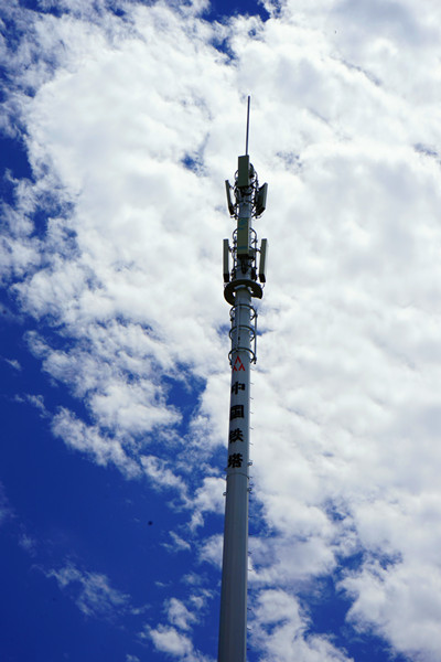 DSC05010_����