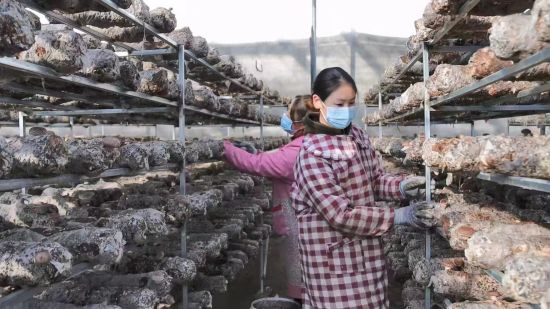 ΢�ňDƬ_20240723161103