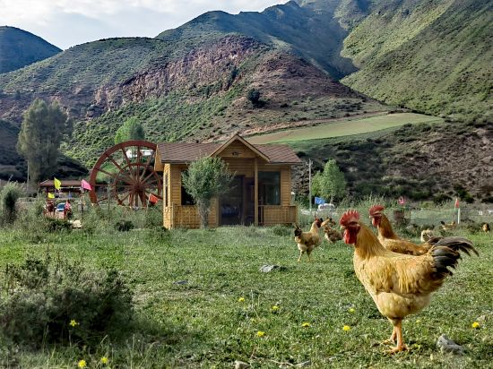 ΢�ňDƬ_20240723161146