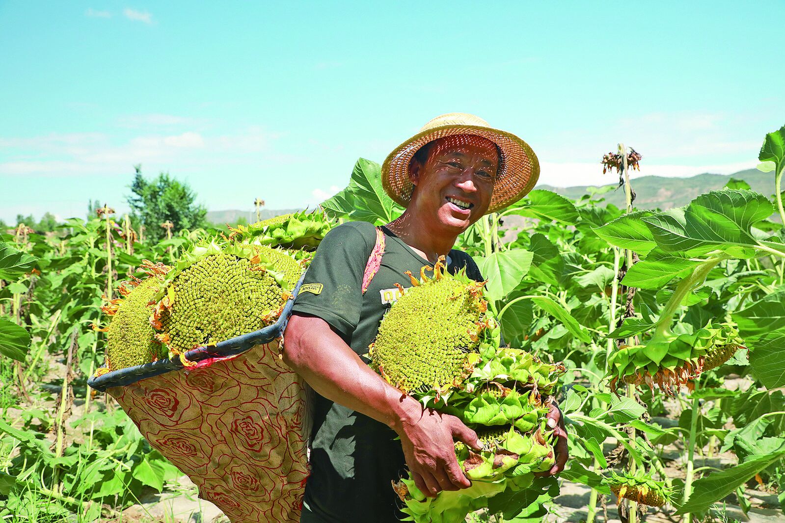 QQ�DƬ20240725062322