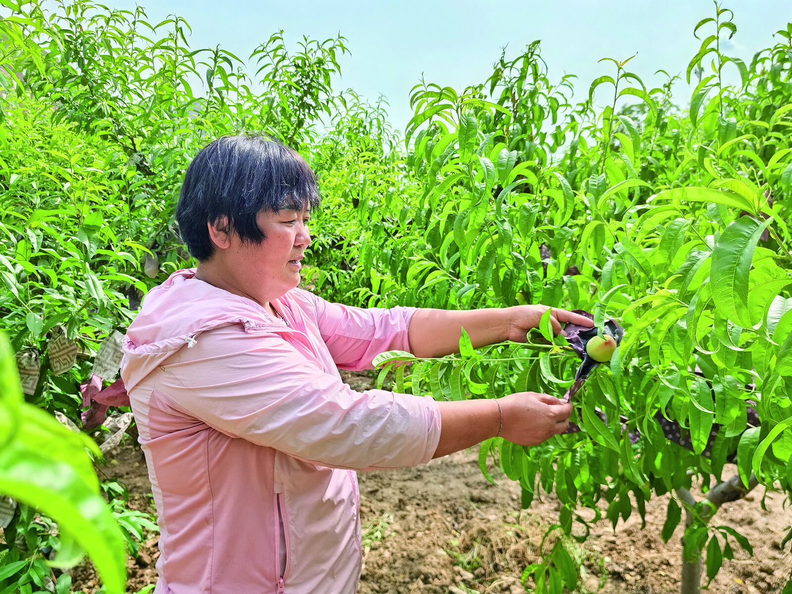 QQ�DƬ20240725062328