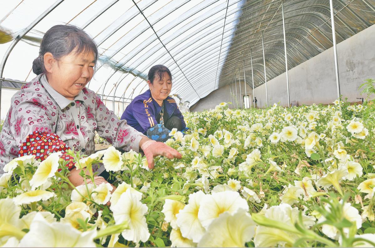 ���˭h(hu��n)�� �����l(xi��ng)�H