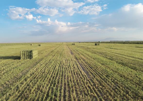 ���r�� ������ ���I(y��)�����|(zh��)���l(f��)չ�{(di��o)���С��ຣ��������}�A���L�����ی��衱���������|(zh��)���l(f��)չ�{(di��o)���С����M������ϵ�Ј��֮��