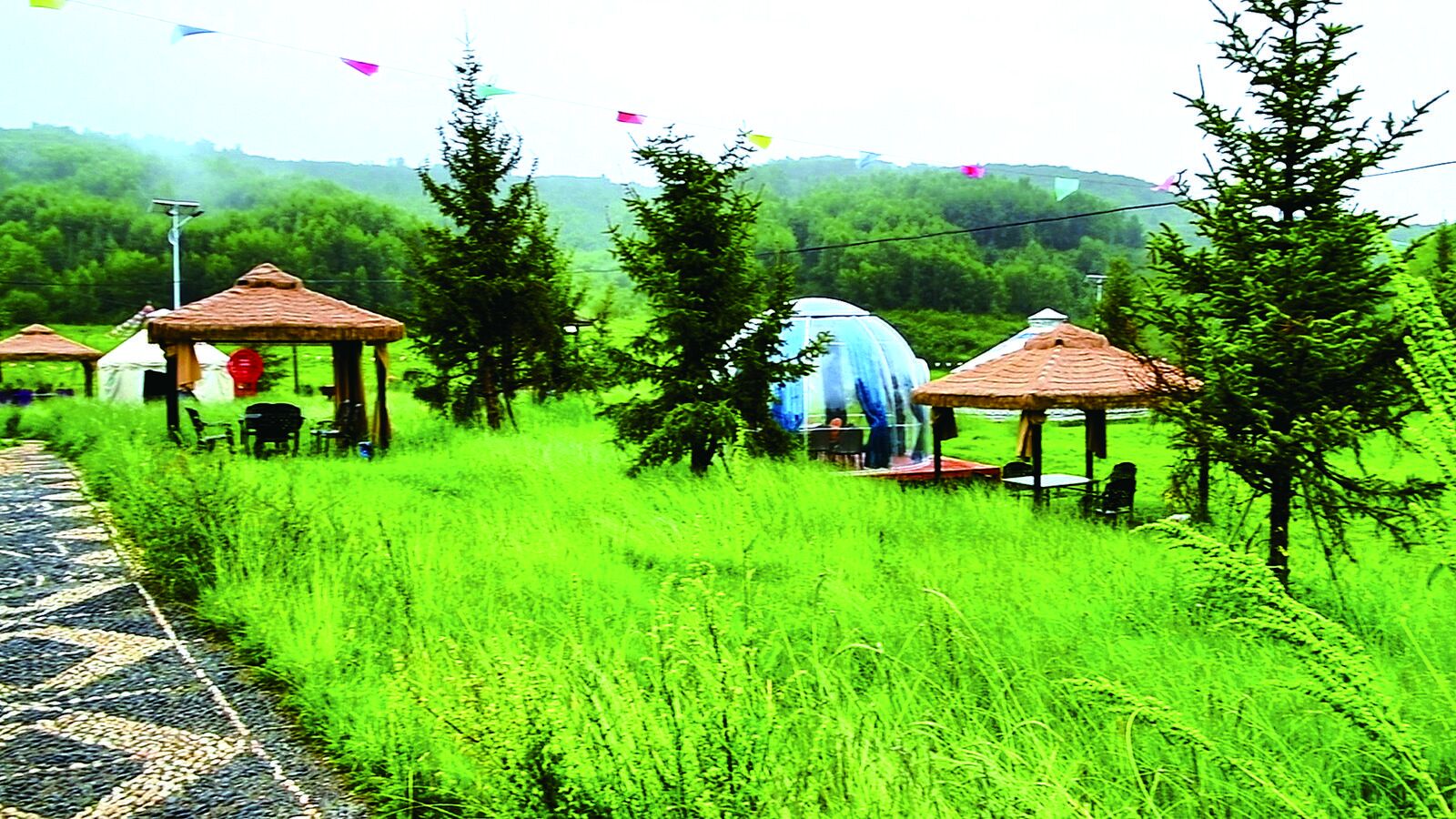 QQ�DƬ20240731055255