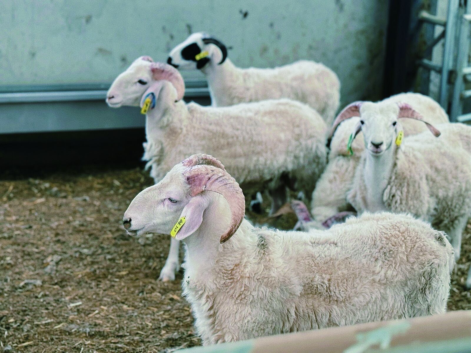 QQ�DƬ20240731060312