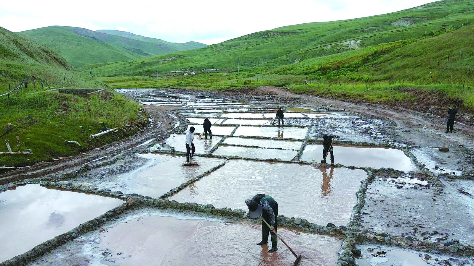 QQ�DƬ20240731061336