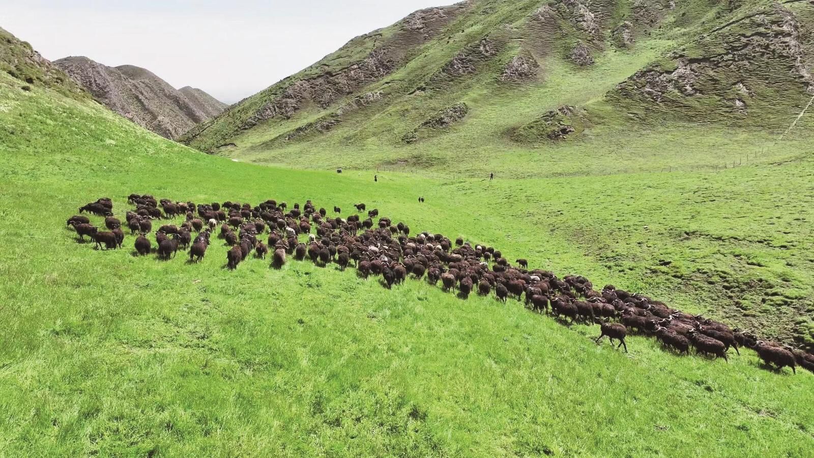 QQ�DƬ20240731062713