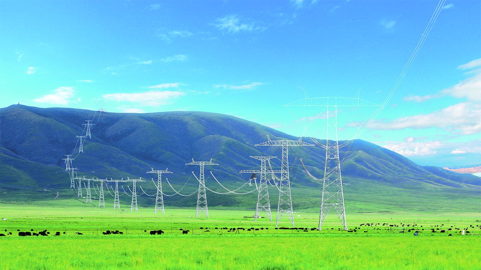 QQ�DƬ20240802060628