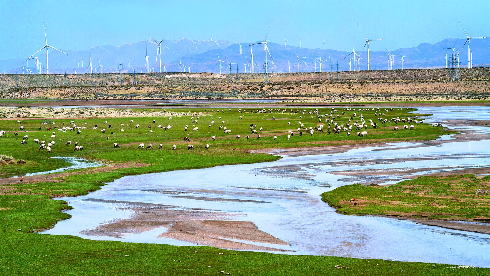 QQ�DƬ20240802060641