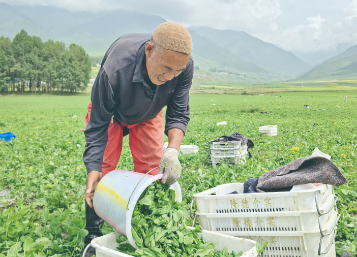 ���r�f���l�]���� �����ԭ����߲�Ʒ��