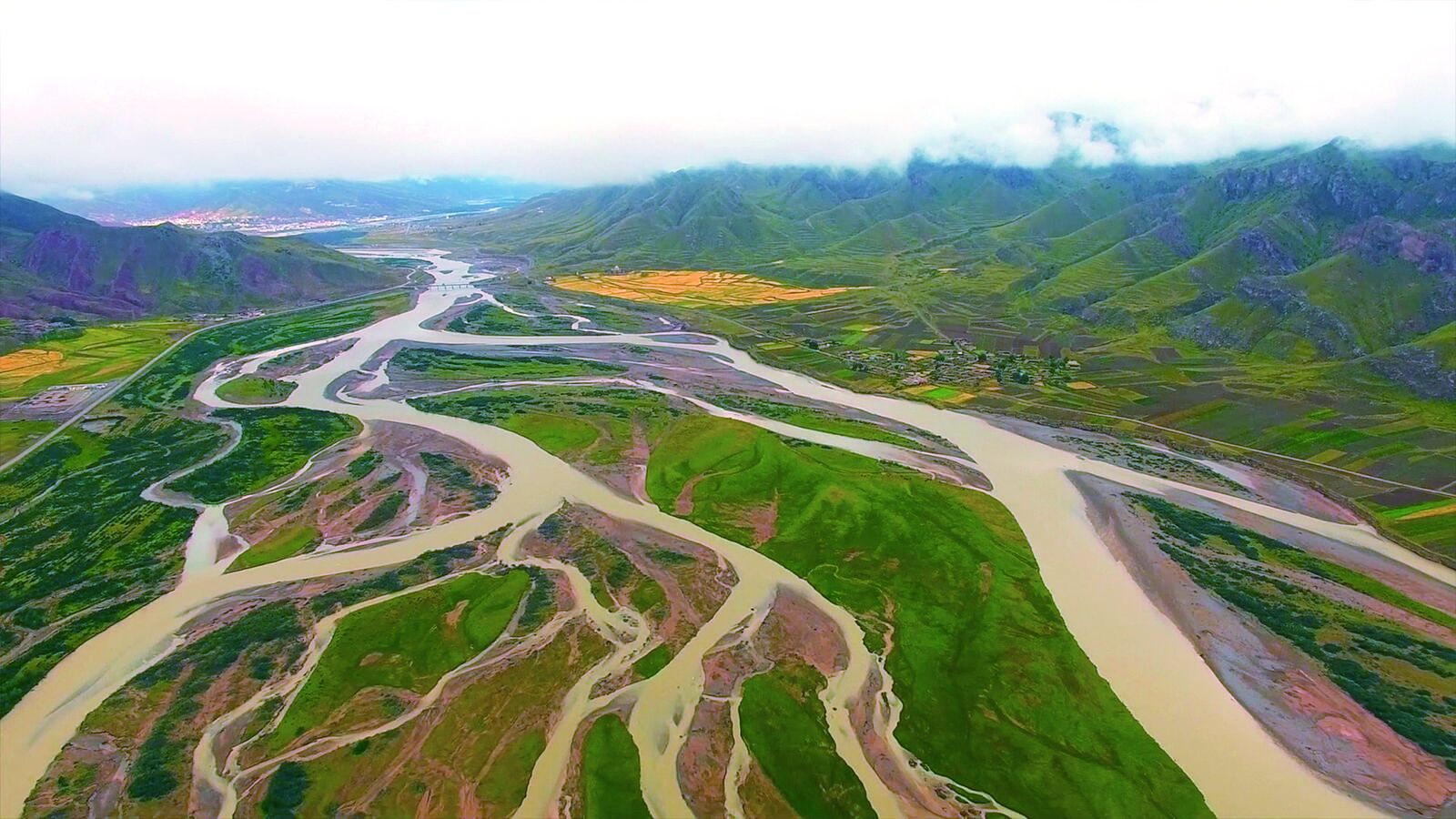 QQ�DƬ20240814054434