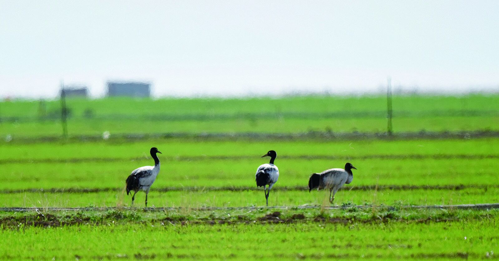 QQ�DƬ20240814060813