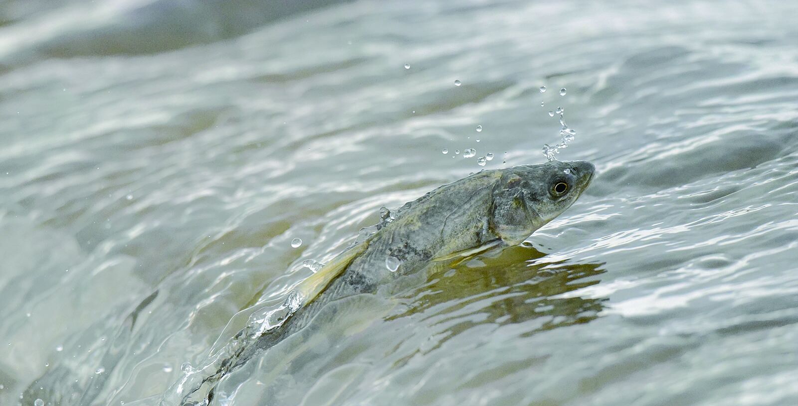 QQ�DƬ20240814060820