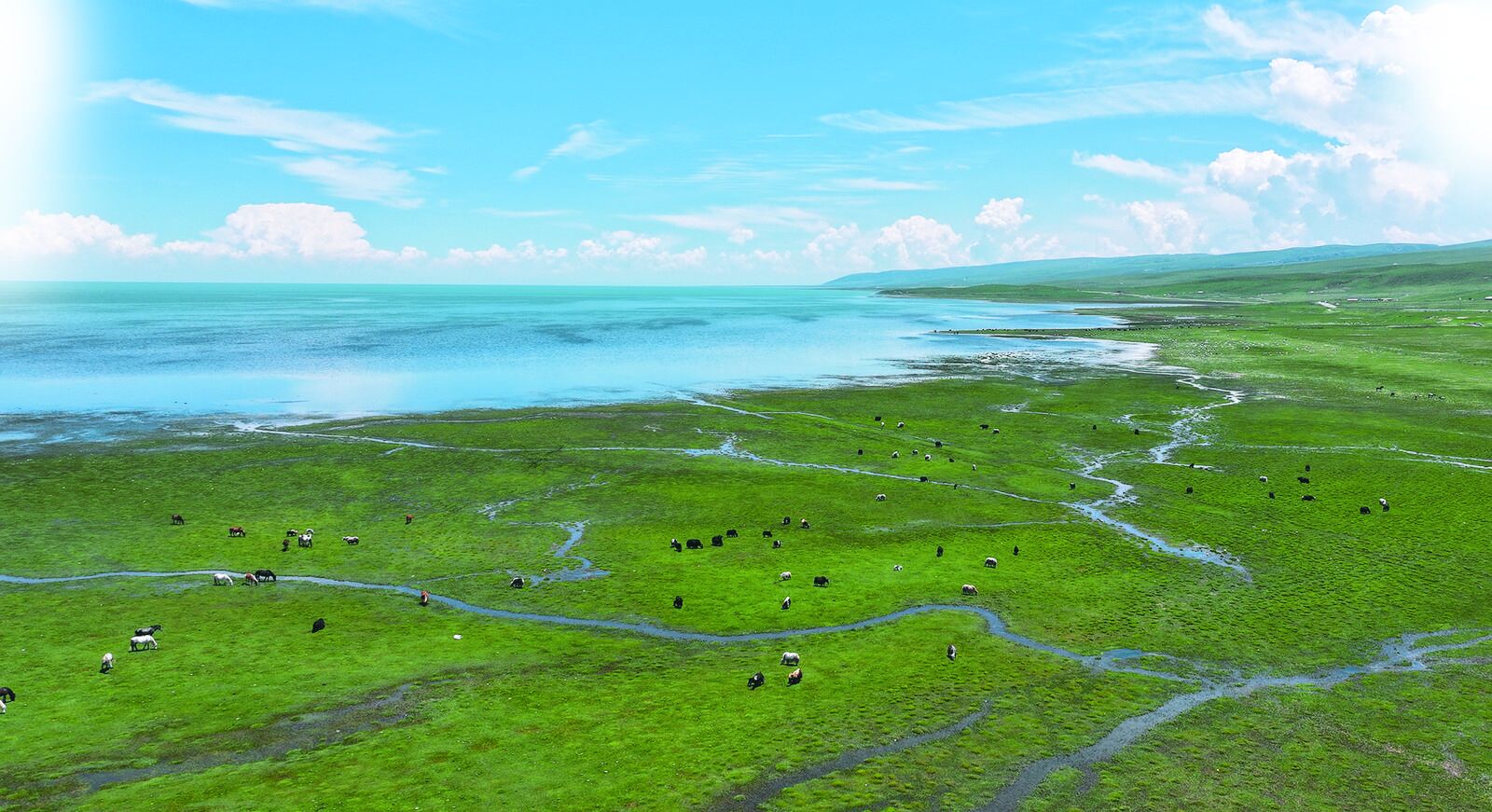 QQ�DƬ20240814060840