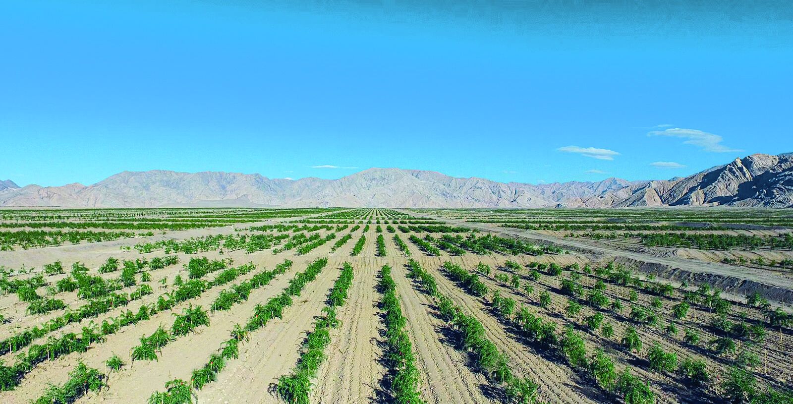 QQ�DƬ20240814061602