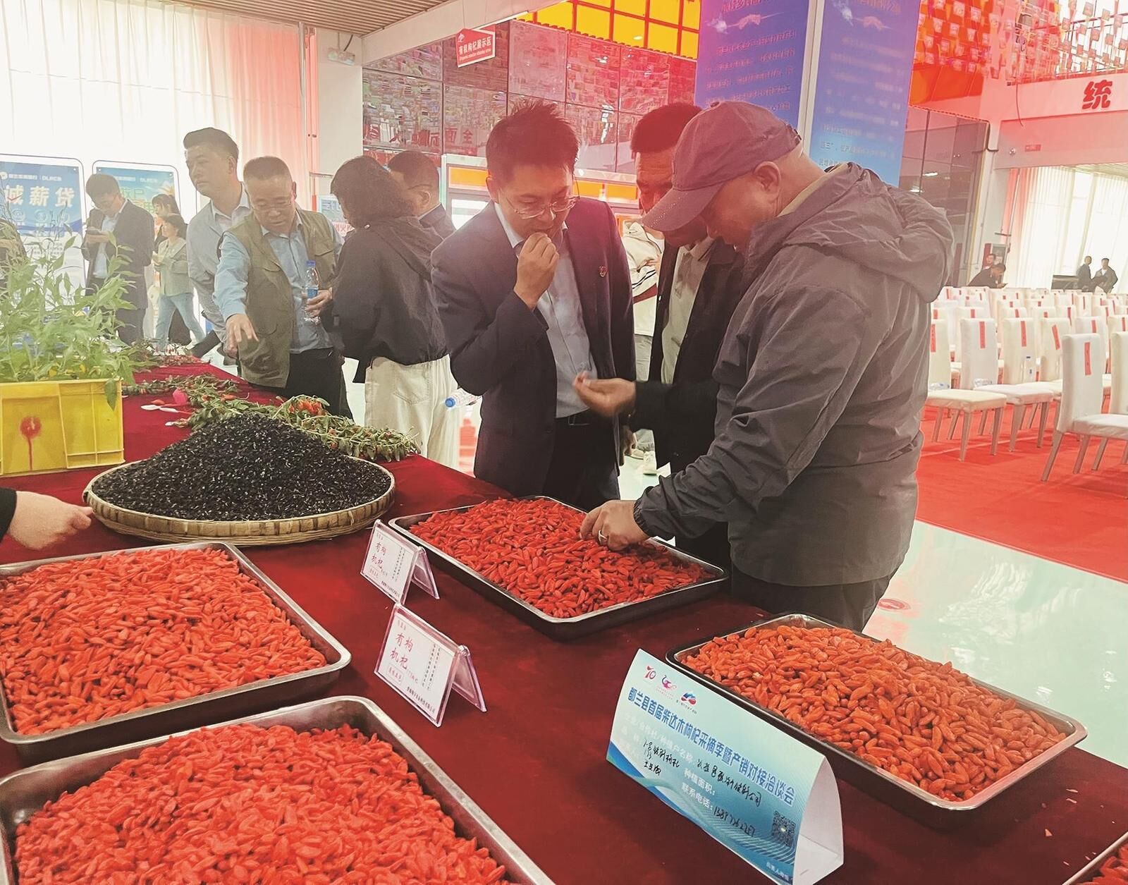 QQ�DƬ20240814063513