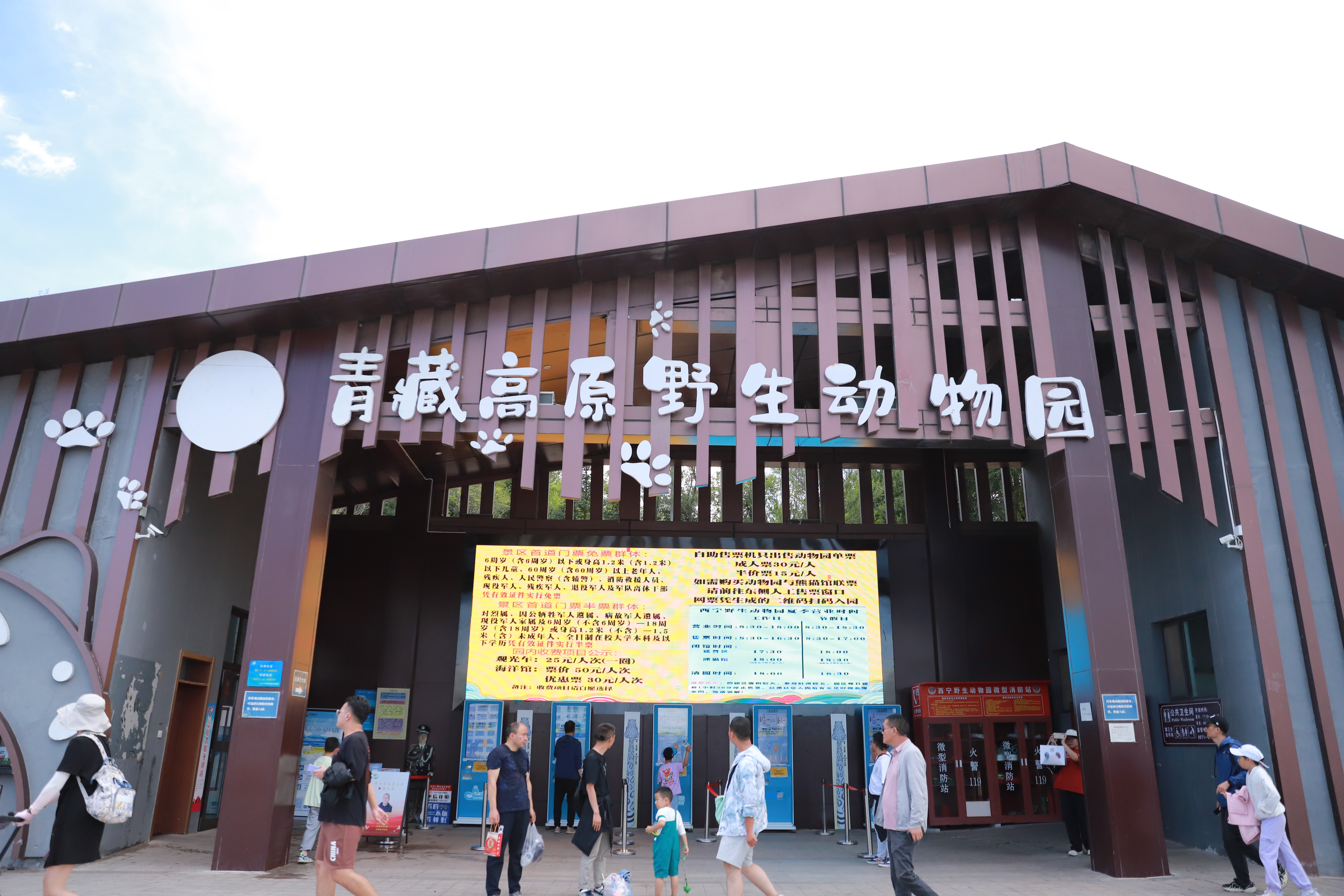 ΢�ňDƬ_20240818235722