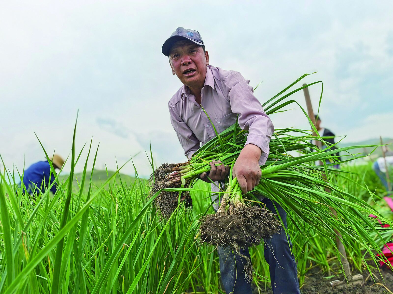 QQ�DƬ20240822060907