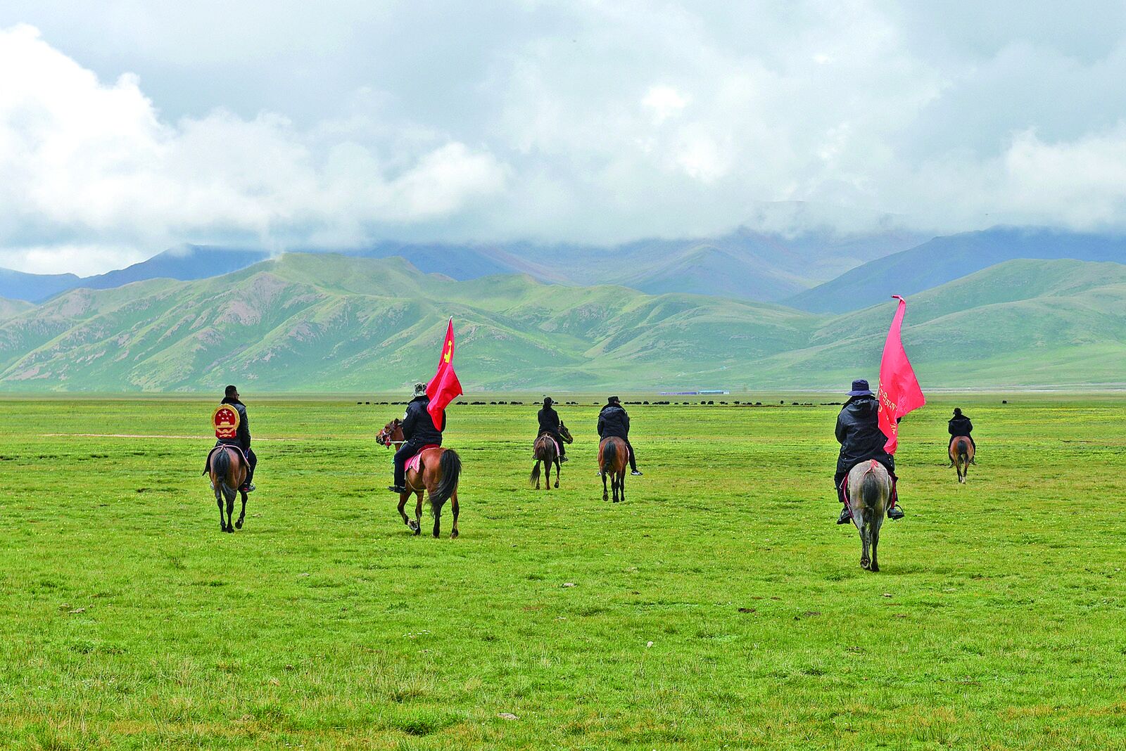 QQ�DƬ20240822061234