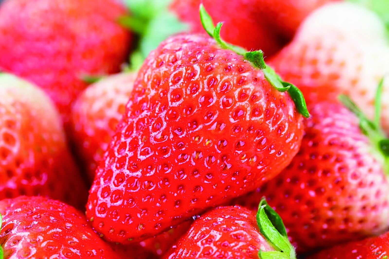 ���r���^�졿���Ї����îaƷ��������ԭ�ϵ�СС��ݮ