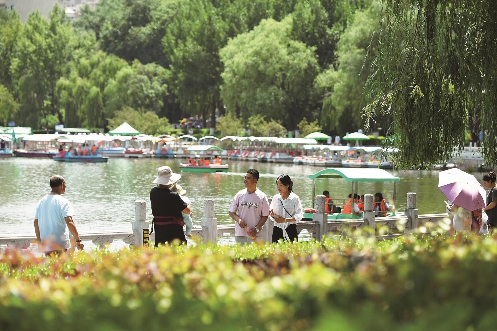 QQ�DƬ20240822063509