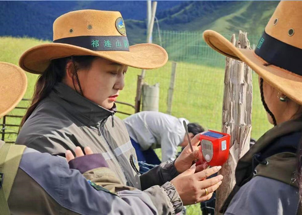 QQ�؈D20240823111622