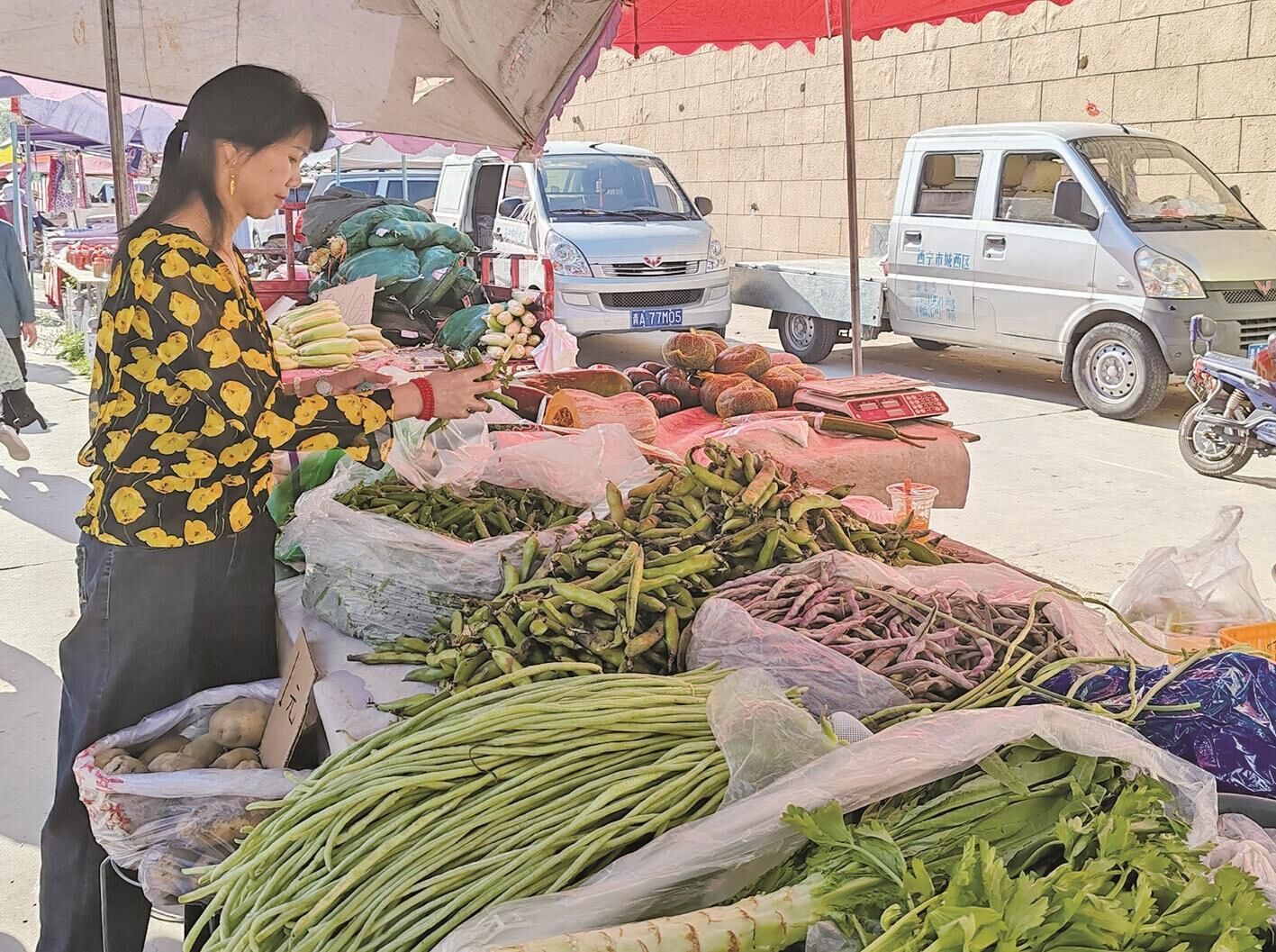 QQ�DƬ20240824064107