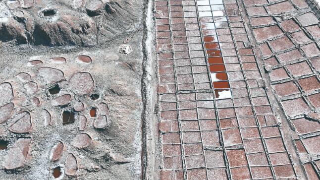 中外嘉賓打卡千年古鹽場