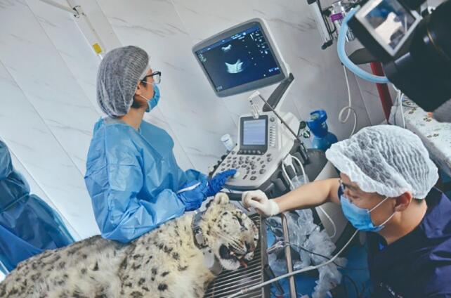 һ������ѩ���ľ��o�����������조ѩ��֮����ϵ�Ј����