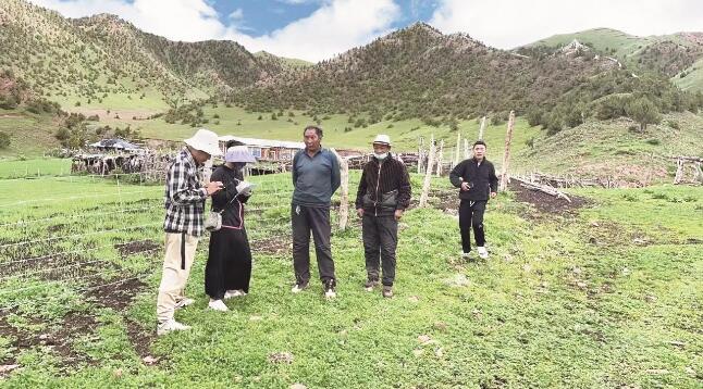 QQ�؈D20240826070606