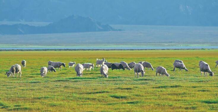 QQ截圖20240826071338