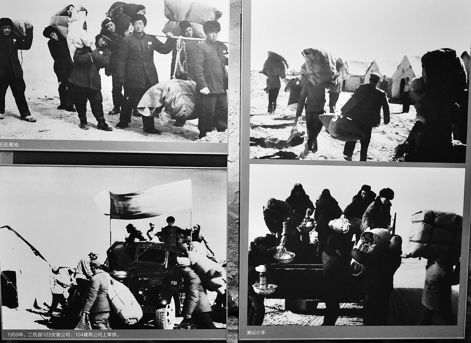 QQ�DƬ20240828060229