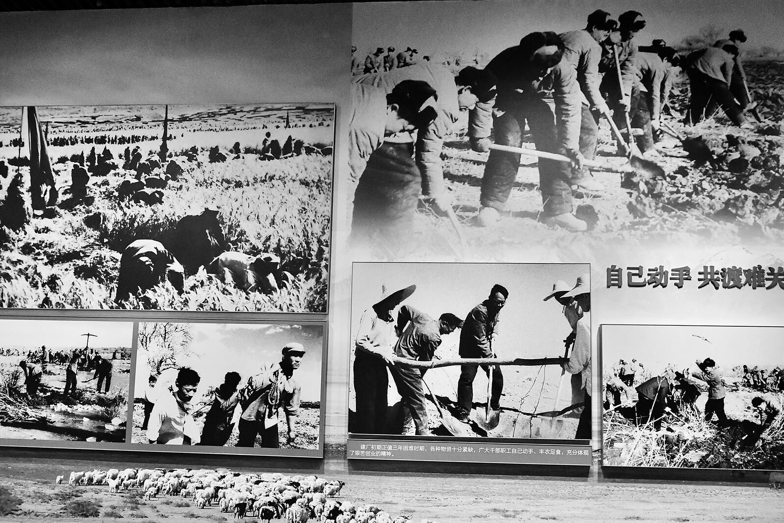 QQ�DƬ20240828060243