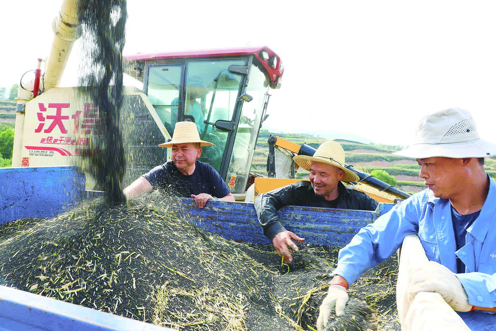 QQ�DƬ20240828063741