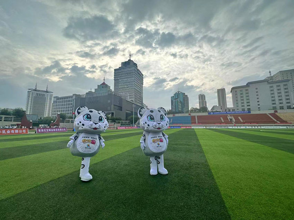 ΢�ňDƬ_20240829210624_����