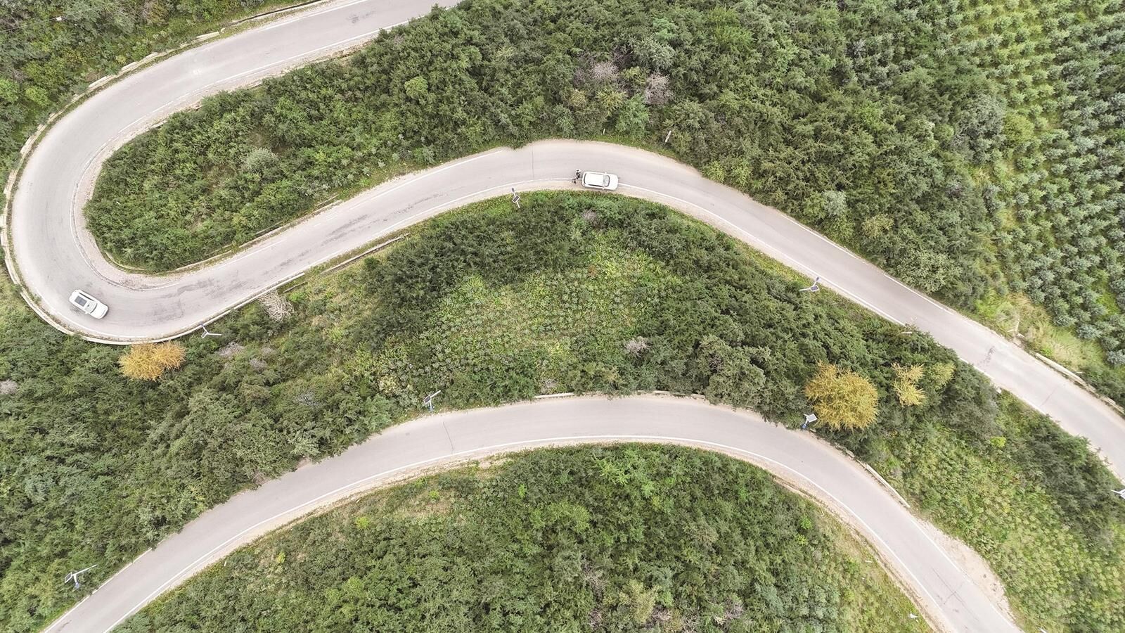 QQ�DƬ20240830063946