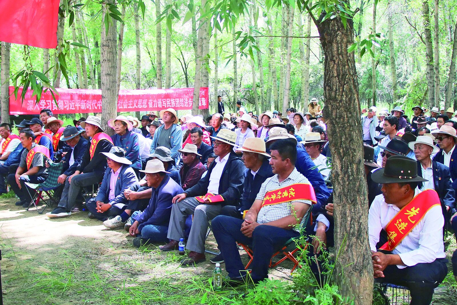 QQ�DƬ20240903061444